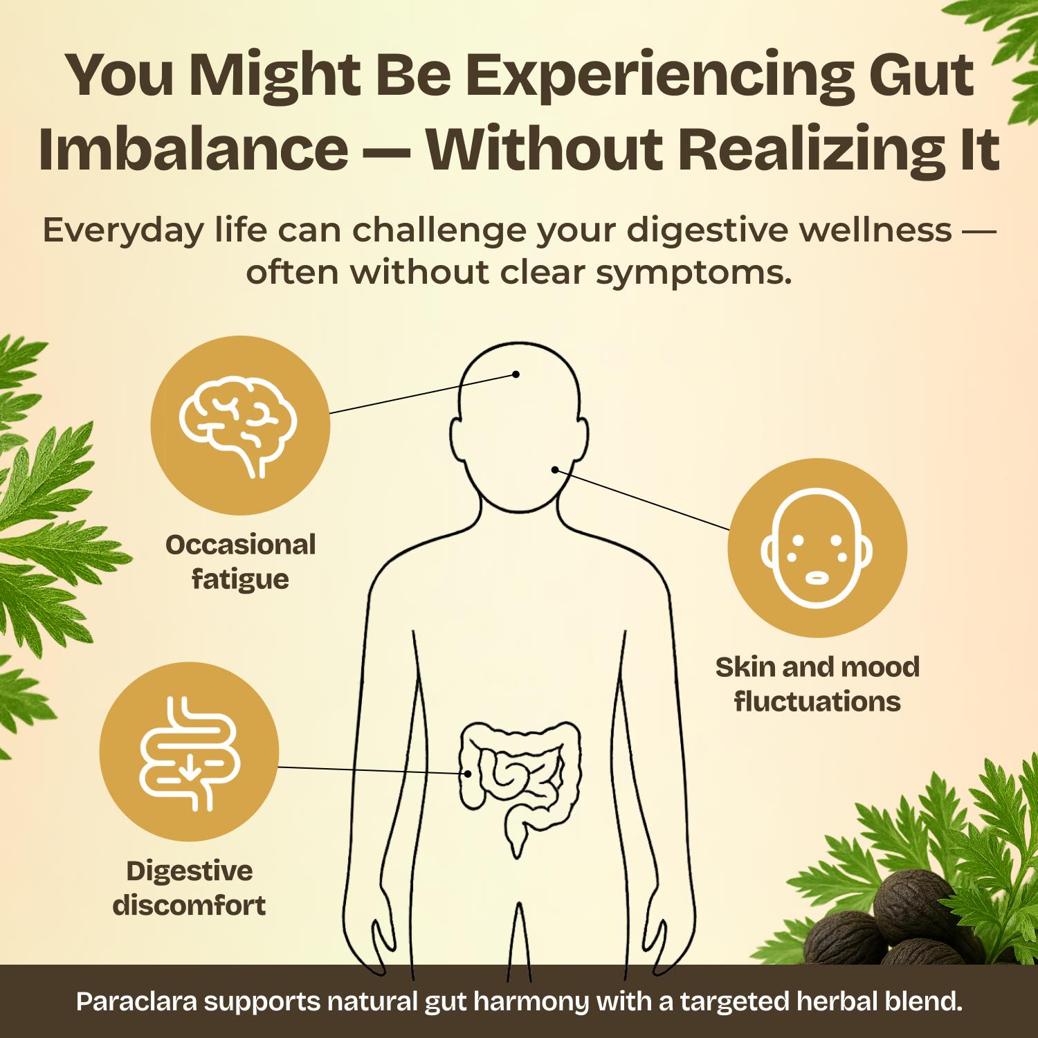 Serene Herbs Paraclara Wormwood Cleanse for Humans - Black Walnut Hull Clove Detox, Natural Gut Health Supplement for Children & Adults - Improve Digestion & Energy - 60 Capsules