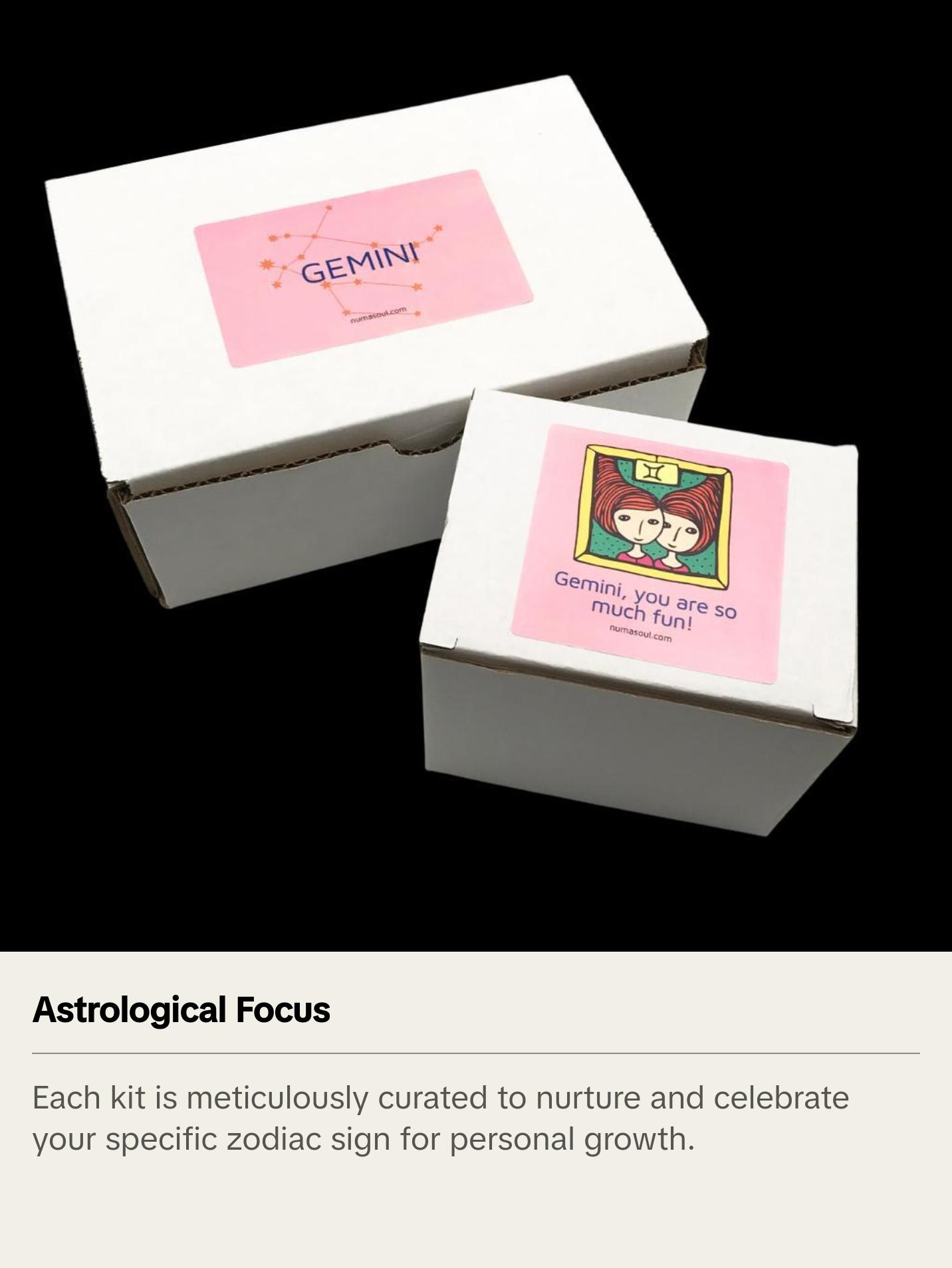 Gemini Zodiac Bundle