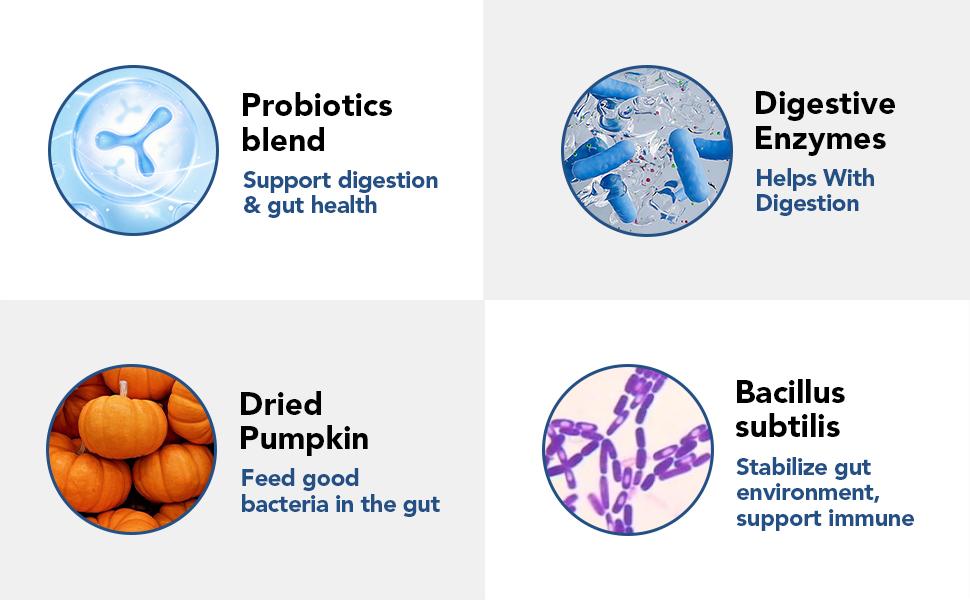 Probiotics for Dogs - Dogs Probiotics Chews with Enzymes & Fiber Blend Supports Gut Health, Boost Immune - Natural Probiotic Supplement for Digestive, Diarrhea, Gas, Constipation, Itchy Skin,120Ct