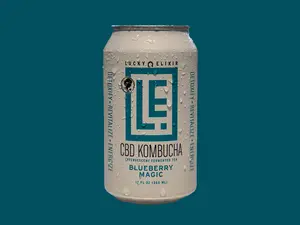 Blueberry Magic Kombucha