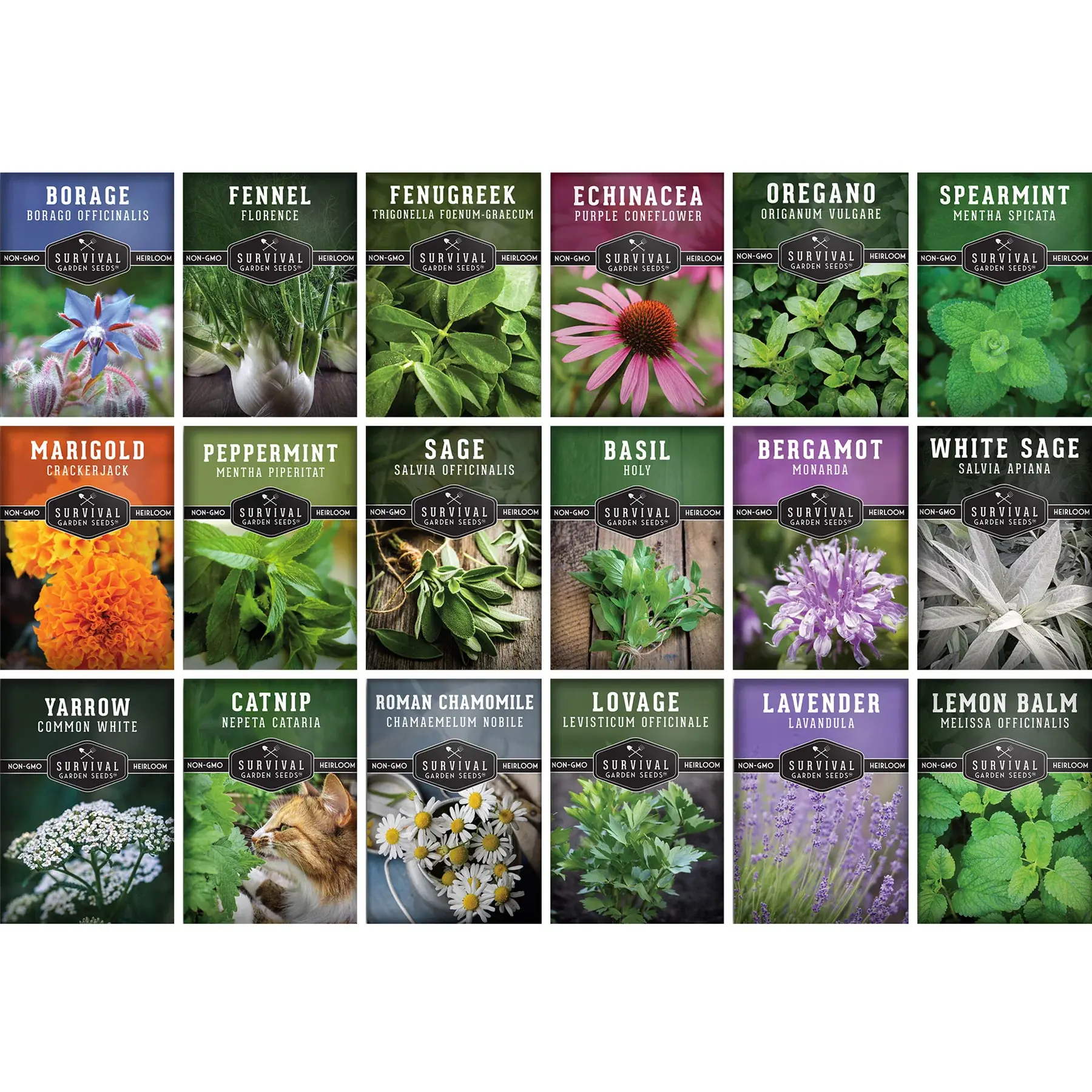 Medicinal Herbs – 18 Heirloom Seeds 