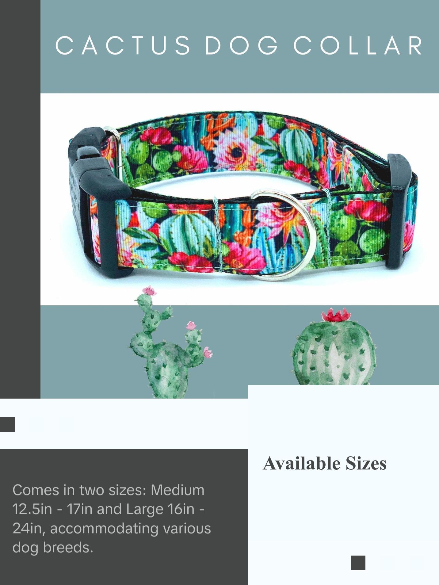 Colorful Cactus Saguaro Dog Collar - Perfect for Your Pet
