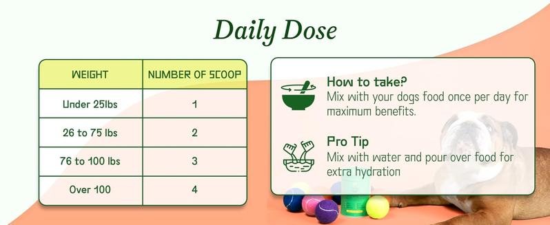 Everyday - Clean Dog Multivitamin Supplement | 45 Active Ingredients for Hip & Joint Support, Gut & Immune Support and Skin & Seasonal Allergy Support - 60 Scoops Bacon & Pumpkin Flavor Probiotics Natural Supplies