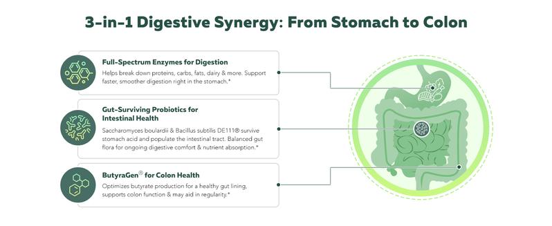 Flora Digest | 3-in-1 Digestive Enzymes, Probiotics & ButyraGen Postbiotic – Supports Digestive Comfort, Bloating Relief & Colon Health – 30 Capsules fitness dietary