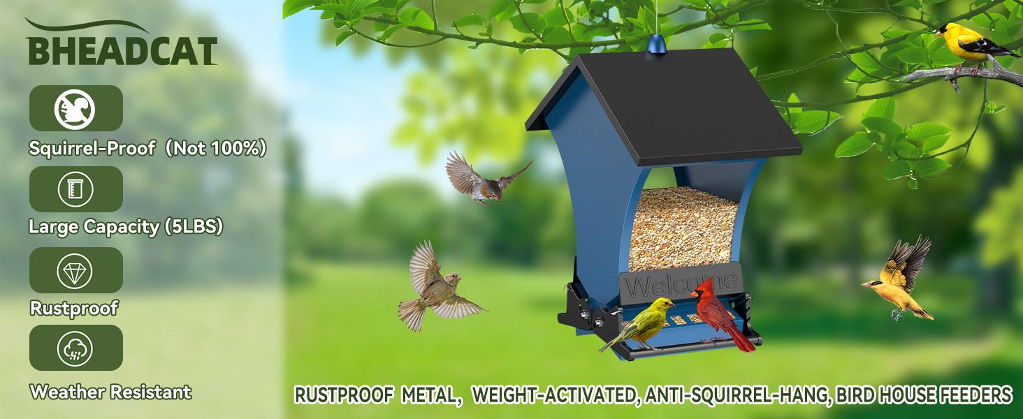 Wildpark Squirrel-Proof Bird Feeder – Durable, Vibrant Orange, Perfect for Cardinals & Chickadees – Ideal Gift for Bird Lovers, Moms & Grandmas Wildpark Squirrel-Proof Bird Feeder – Durable, Vibrant Orange, Perfect for Cardinals & Chickadees – Ideal Gift for Bird Lovers, Moms & Grandmas