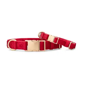 Comfortable Dog Collar – Adjustable Lightweight Collar for Daily Use, Blaze