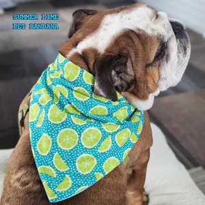 Summer Lime Pet Bandana