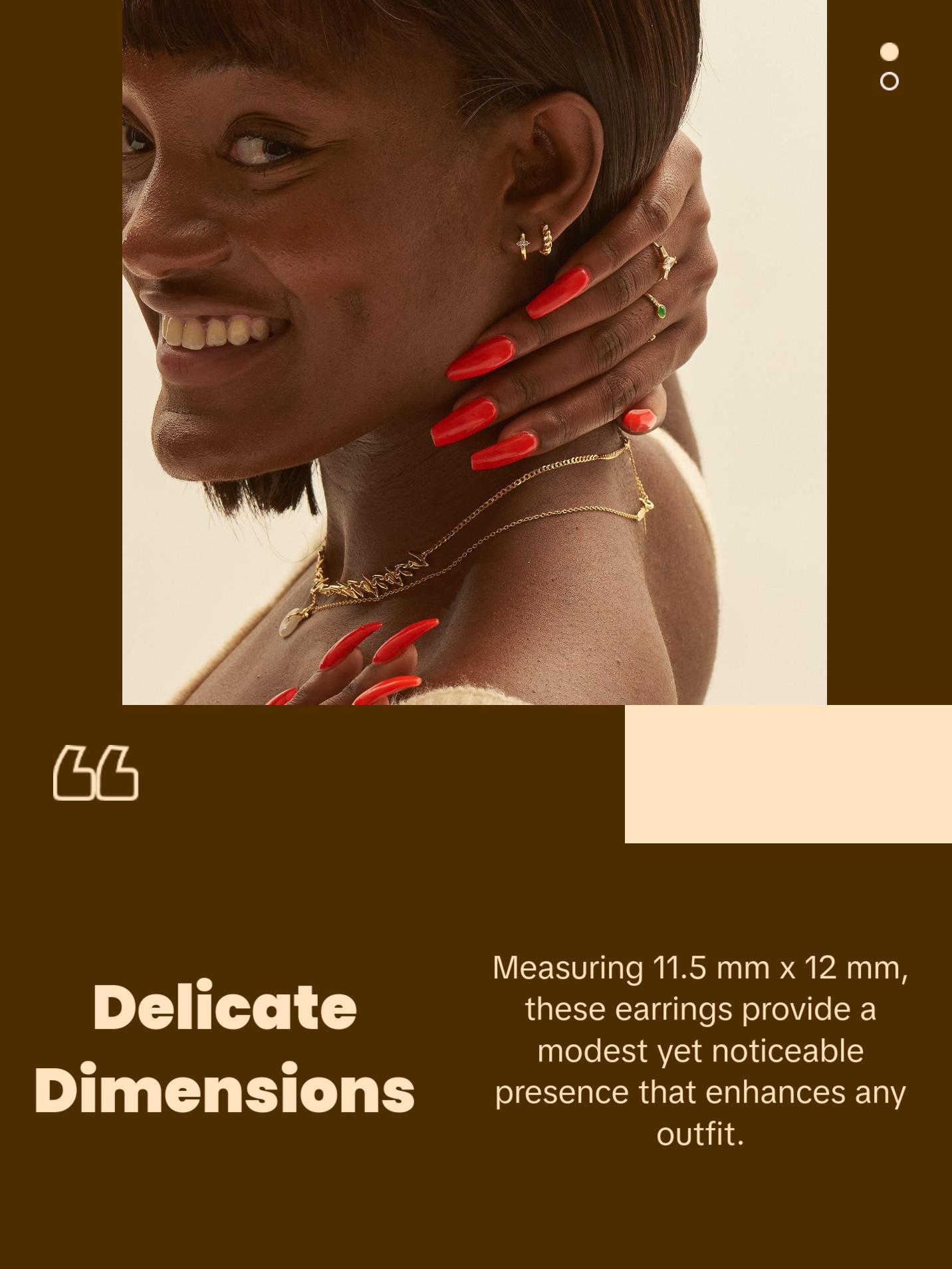 Braided Hoop Earrings