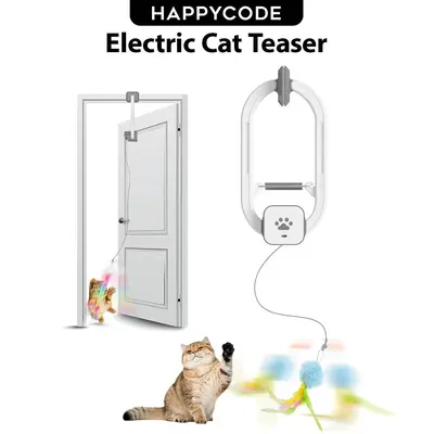 Electric Cat Teaser