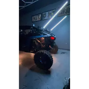 Led whip lights Bluetooth and remote