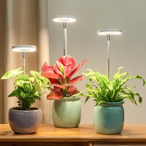 Low-Heat LED Grow Light for Shelves & Cabinets Full Spectrum Plant Light with Cool Operation Safe for Seedlings Herbs Succulents in Terrariums Indoor Gardens & Small Spaces Energy-Efficient Lamp for Indoor Plants - Pot