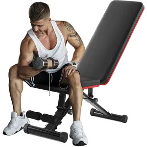 Adjustable Ab Workout Bench for Home Gym, Foldable Core Training Bench with 9 Backrest Positions, Incline Decline Sit Up Bench for Abs & Full Body Exercise, 795LBS Capacity