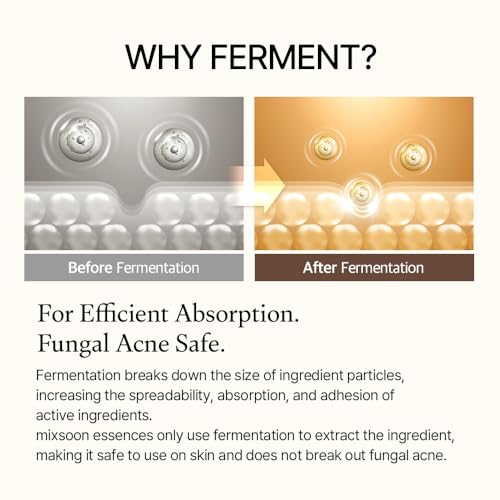 [mixsoon] Cardi B Bean Glass Skin Duo Bean Essence 50ml + Bean Cream 50ml 3.38 Fl. Oz / 100ml Glass Skin Care