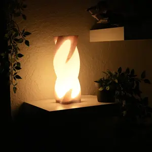 NOXIA TORQUE 3D Printed Lamp