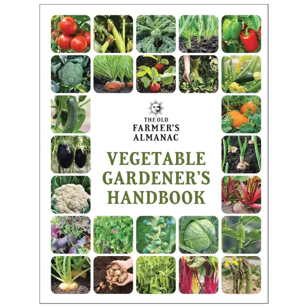 The Old Farmer's Almanac Vegetable Gardener’s Handbook: Essential Step-by-Step Advice for Growing Vegetables and Achieving Success Paperback Salad Potato
