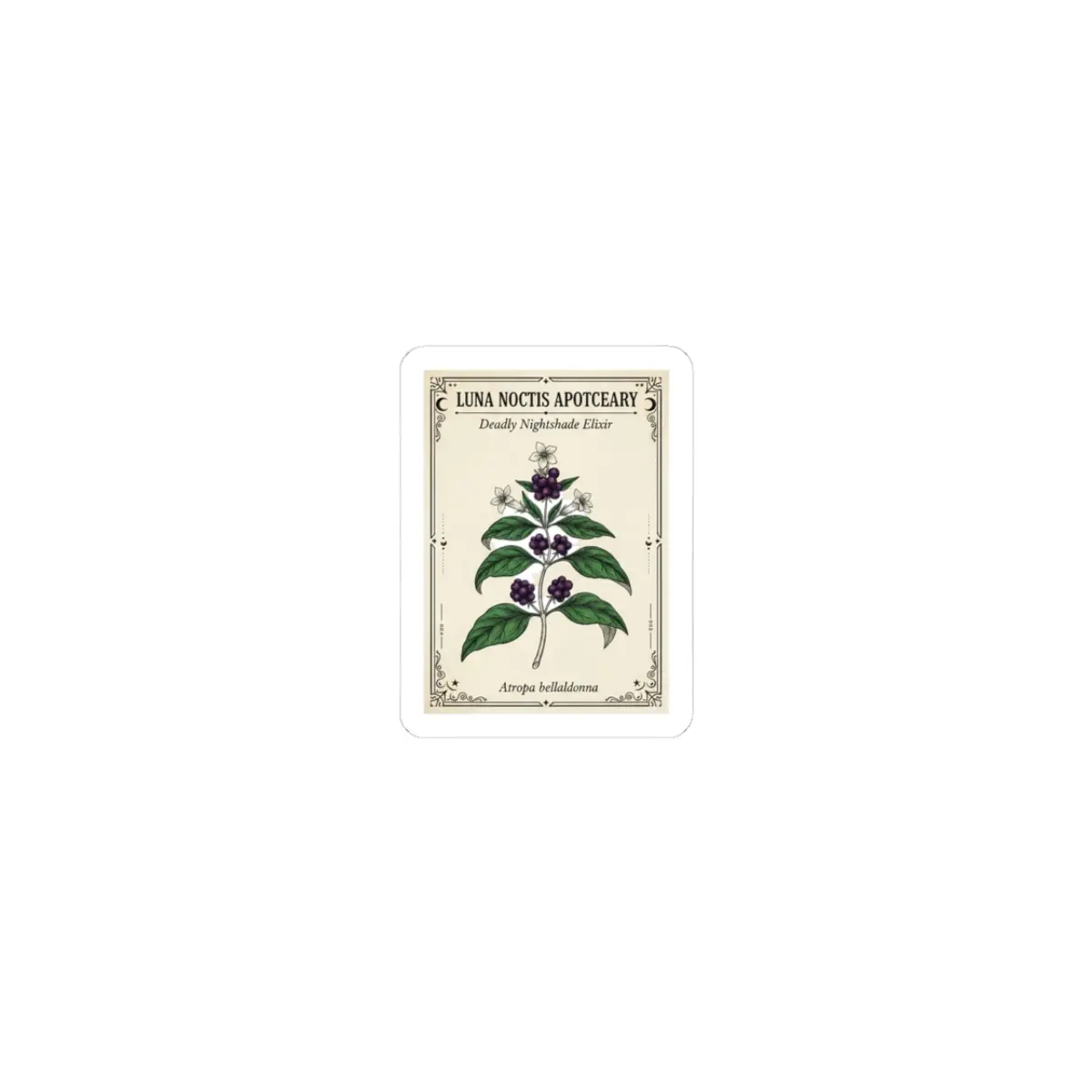 Apothecary Botanical Label Sticker | occult herb design, vintage tincture art