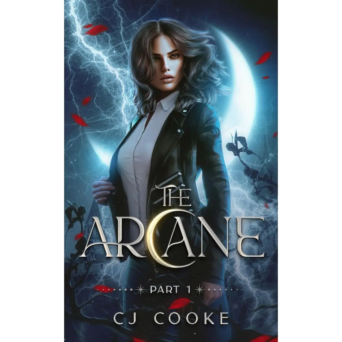The Arcane: Part 1: A paranormal reverse harem romance Paperback – August 24, 2022