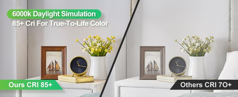 Rechargeable Emergency Light Bulbs  Battery Powered LED Light Bulb 6000K Daylight E26 120 Volt 9W 60W Equivalent with 1200mAh for Home Power Outage Camping Hurricane