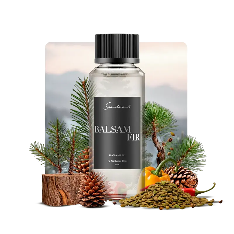 Balsam Fir Fragrance Oil - Woody Aromatic Scented Oil for Aromatherapy Diffusers & Christmas Decor