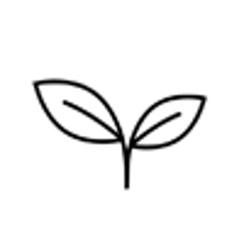 Disappearing Act Serum Disappearing Act Serum