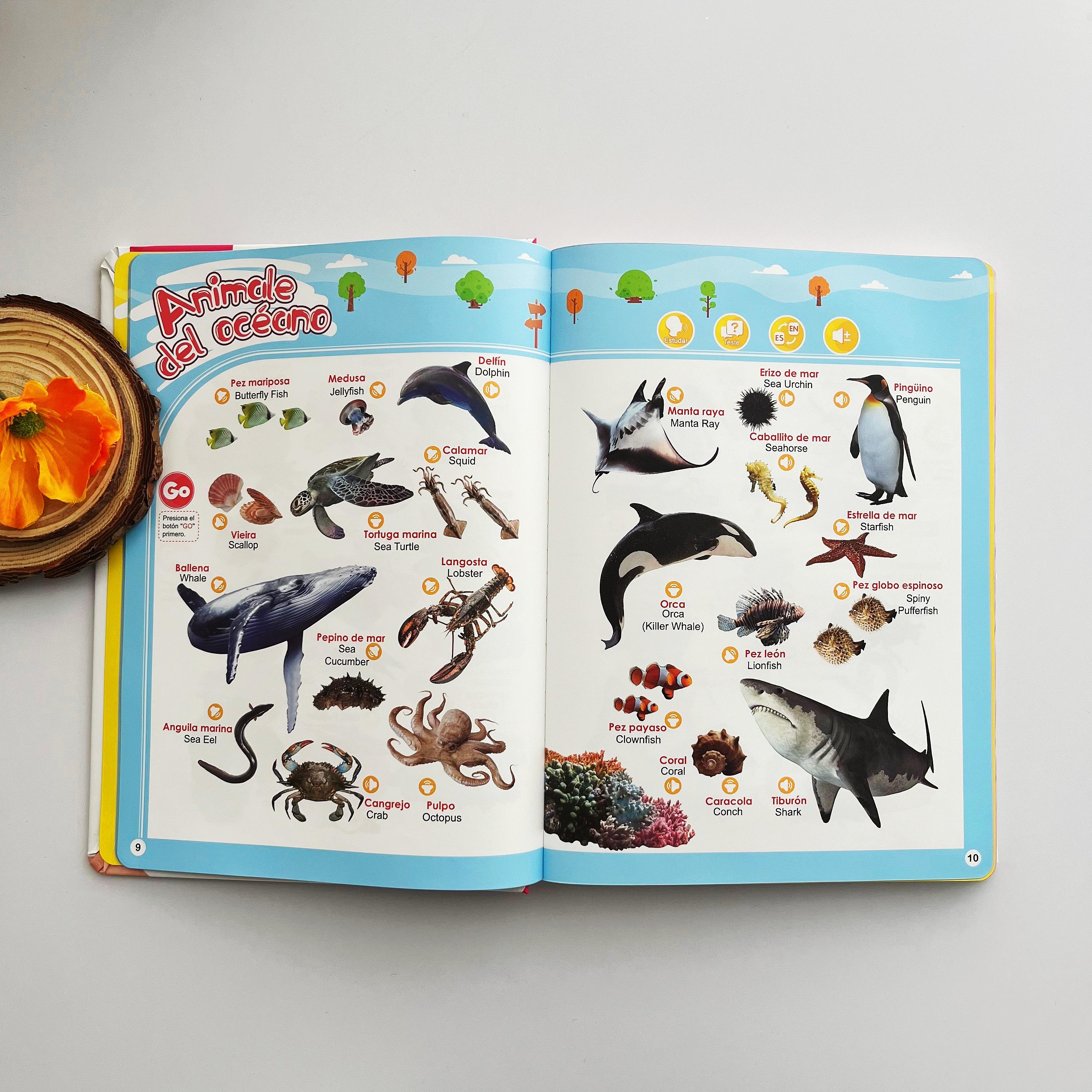 Educational Talking Sound Book – 470+ Words, 21 Themes, 6 Songs & Piano Keys | Perfect Gift for Kids Ages 3–9 | Fun & Interactive Learning Toy Colorful Car