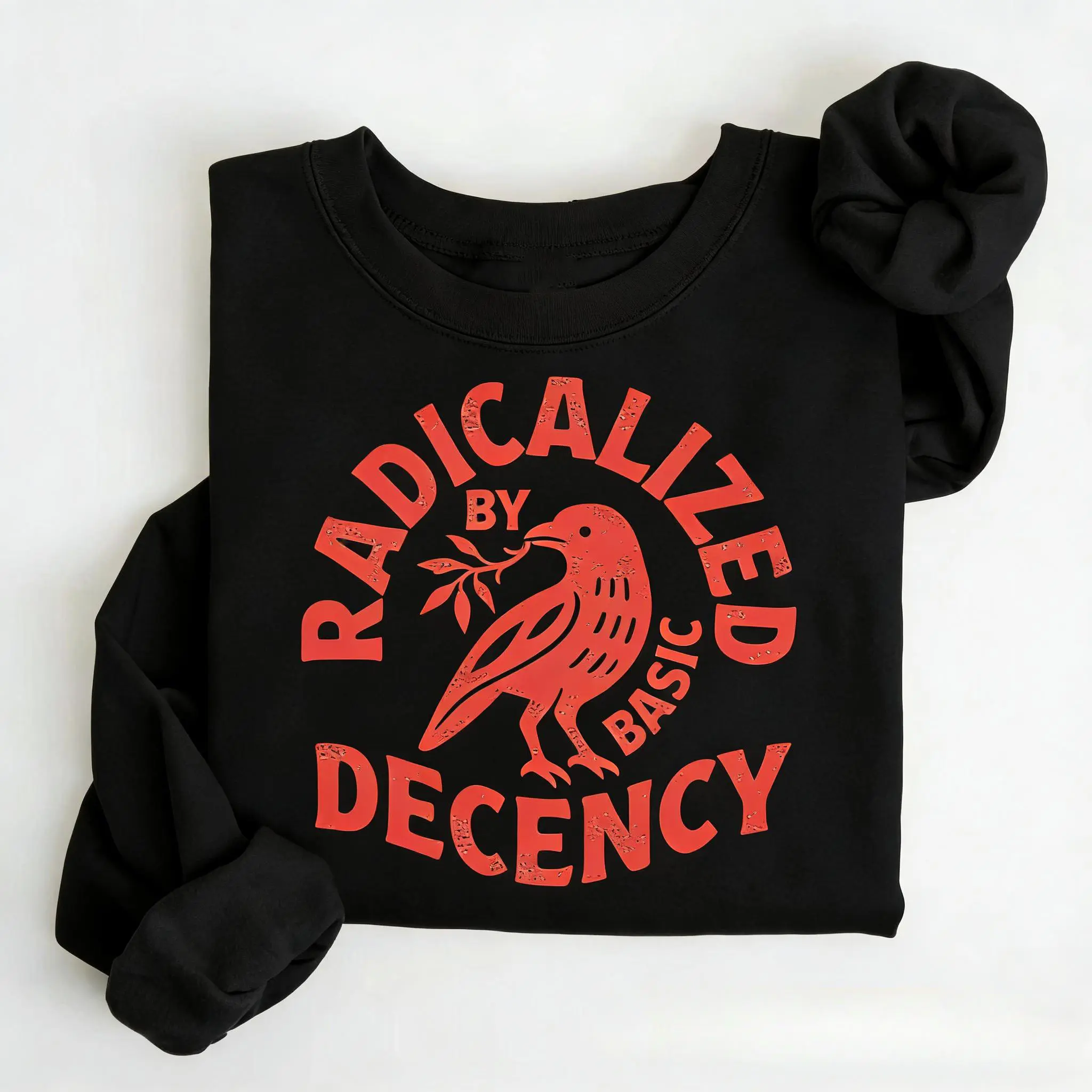 Radicalized By Basic Decency Unisex Sweatshirt, Political Protest Sweatshirt, Feminist Activist Gift, Liberal Clothing, Social Justice