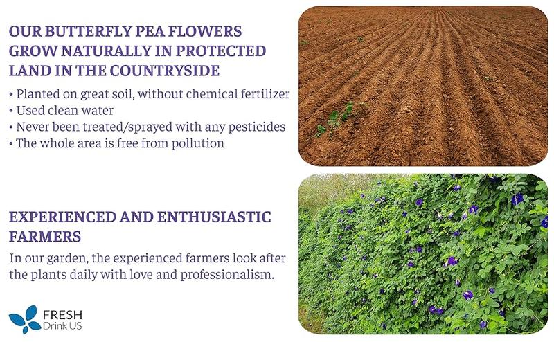 Premium Butterfly Pea Tea, 100% Natural and Pure from Butterfly Pea Flowers, Hand-made, Made With Natural Materials-Corn Fiber Tea Bag, Sugar/Caffeine/Gluten Free, Vegan, Natural Beverage