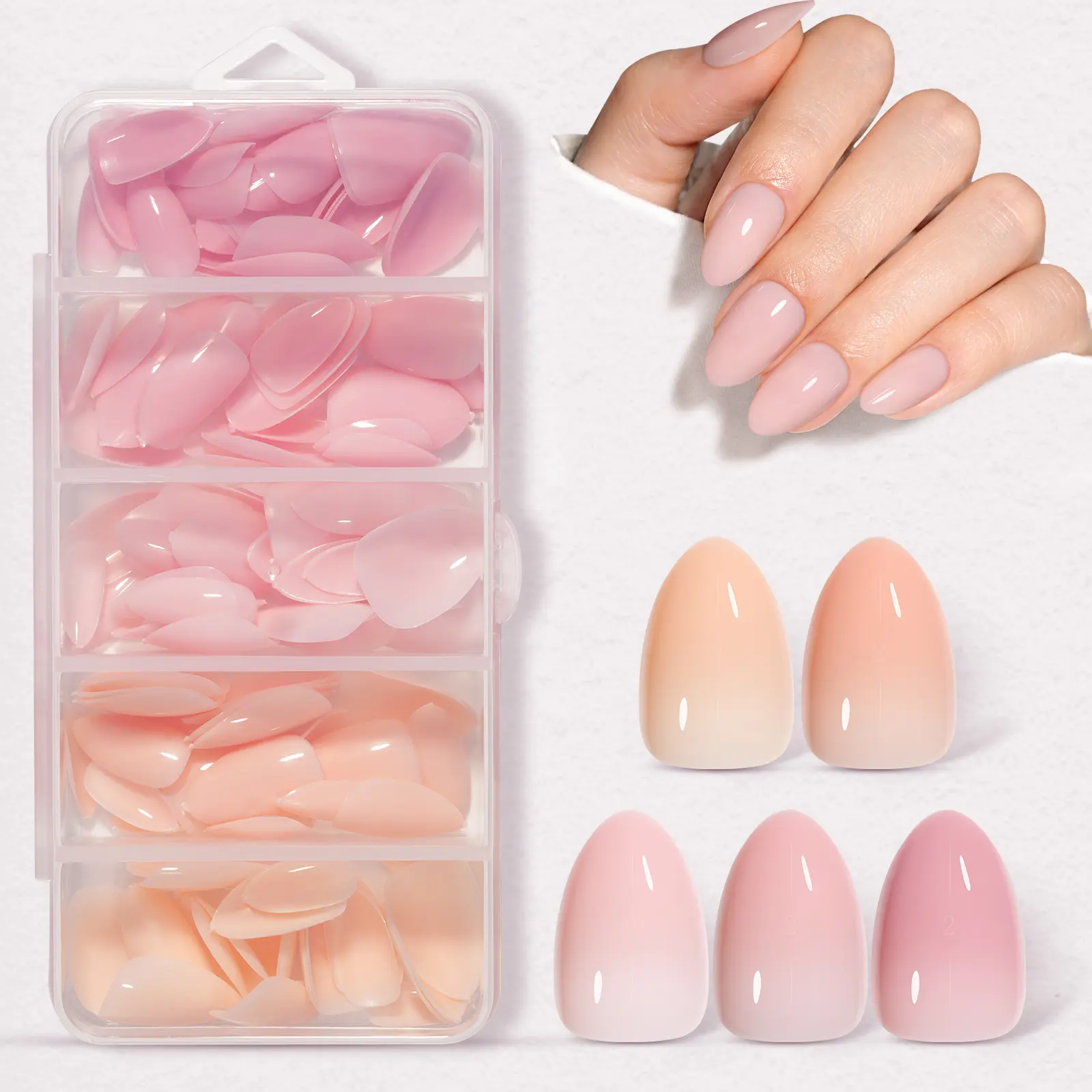 Blush Series | Short Almond