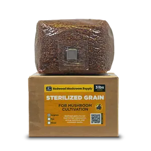 Sterilized Sorghum Grain Bag (3 LBS)