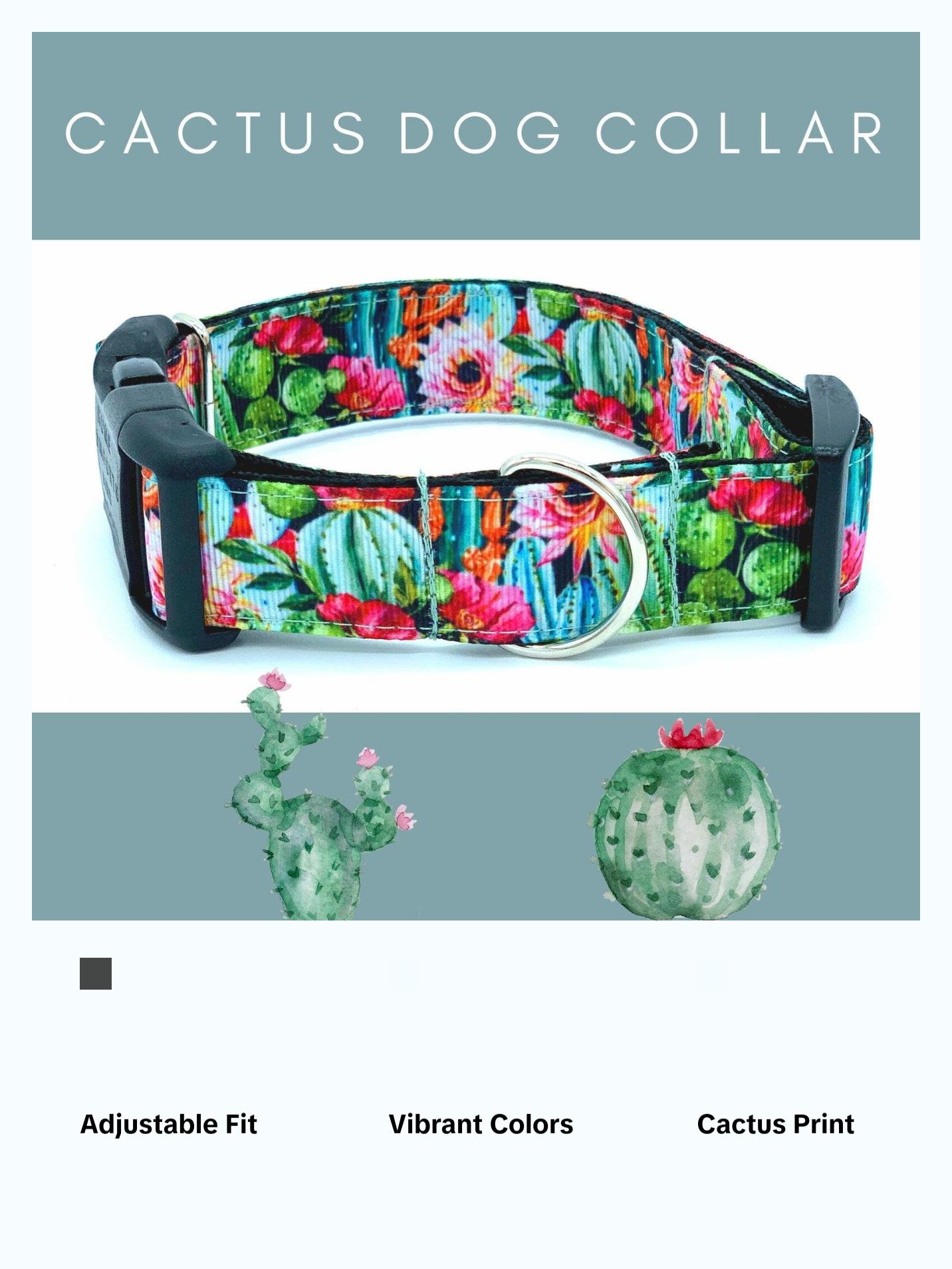 Colorful Cactus Saguaro Dog Collar - Perfect for Your Pet