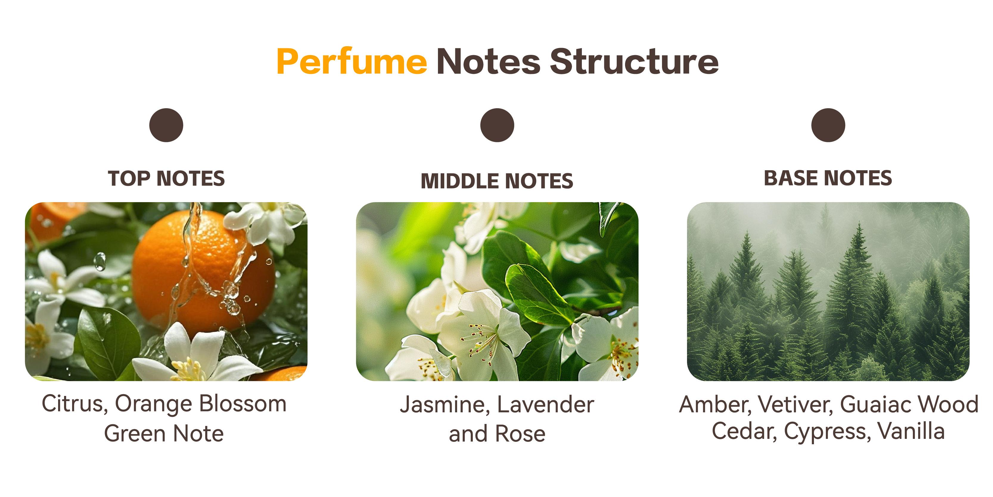 BYMOLIA Aqua Liberte Perfume Spray - Long Lasting Addictive Eau de Parfum for Unisex - Vanilla & Musk, 1.7 Ounce / 50ml - Aromatic Woody Scent Vetiver