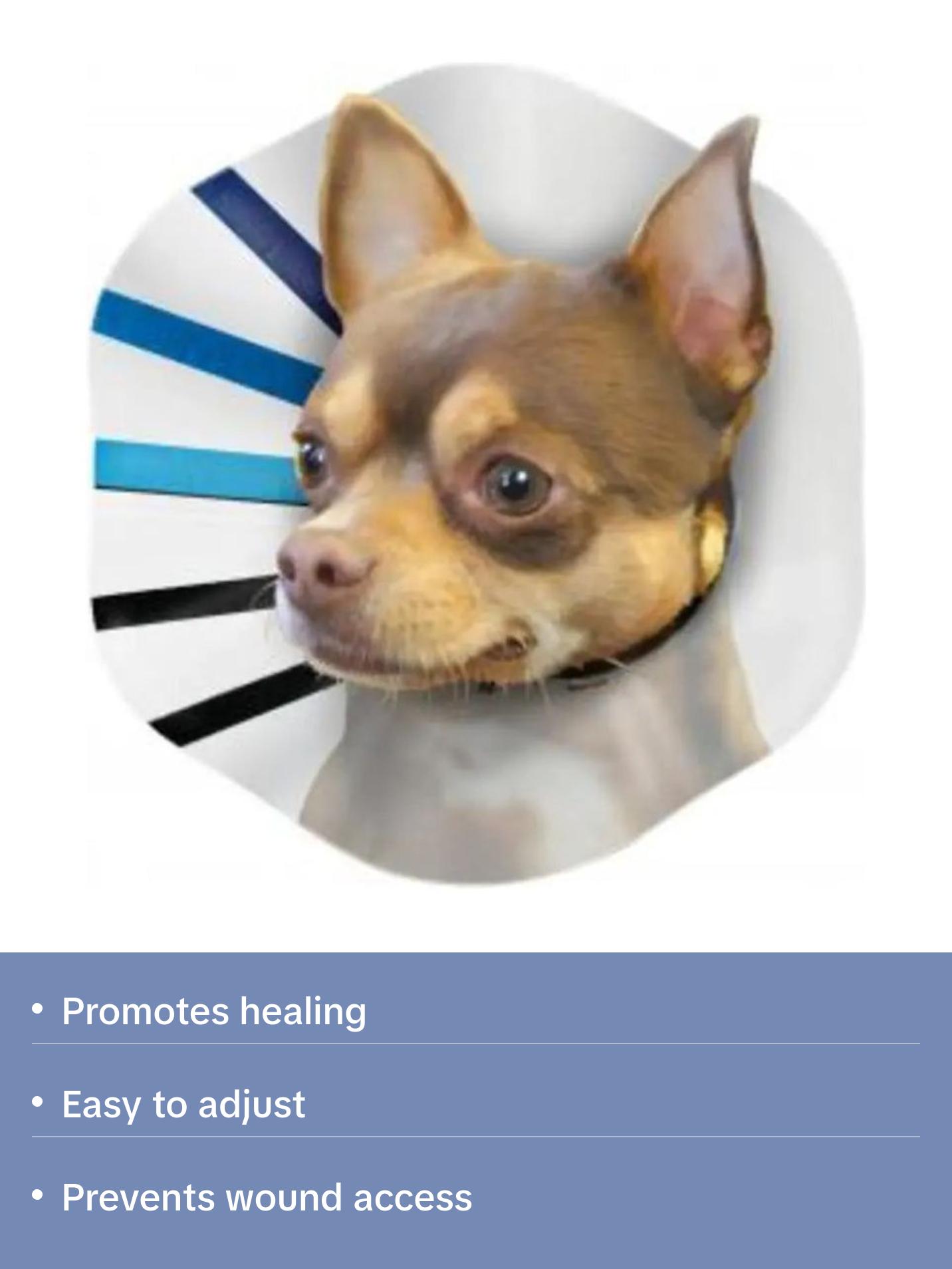 Kong® EZ Clear™ Dog Collar