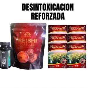 Desintoxicación Reforzada/TE DIVINA+IGNITE+REISHI CAPSULES///Herbal Beverage for Natural Relief//Tea,Fruit Drink Energy  Healthcare Supplement Fitness Dietary Edible