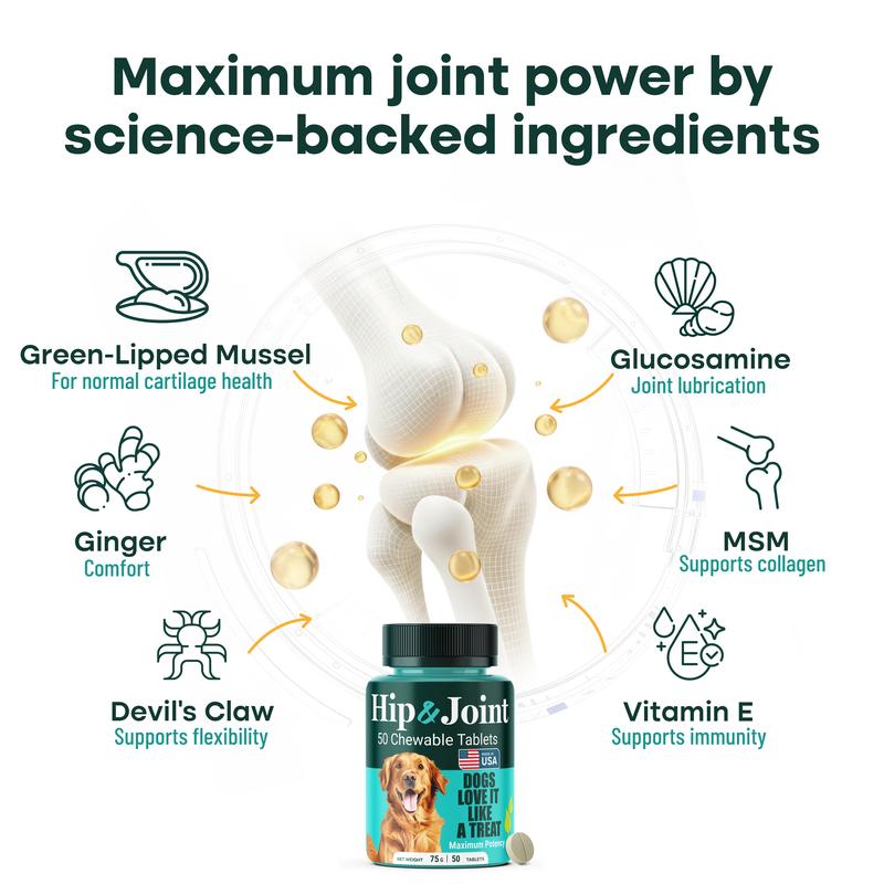 Natureflow Hip & Joint Supplement for Dogs Green-Lipped Mussel Glucosamine Mobility Support Zero Sugar Chewable Tablets MSM Chondroitin Ginger Devil’s Claw Made in USA