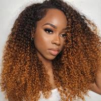 Ombre Brown Mixd Blonde Highlighted