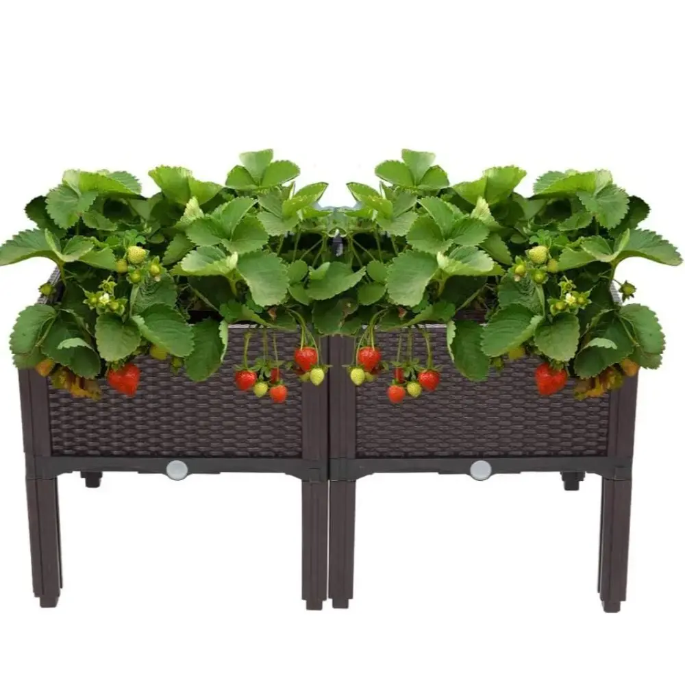VINGLI Square Shape Rattan Style Elevated Planting Boxes - Self-Watering Plastic Raised Garden Bed with Reinforced Material, Water Control Device, Simple Drainage, Easy Instructions for Indoor/Outdoor Veggies, Flowers (2/6 Pcs, All-Weather)
