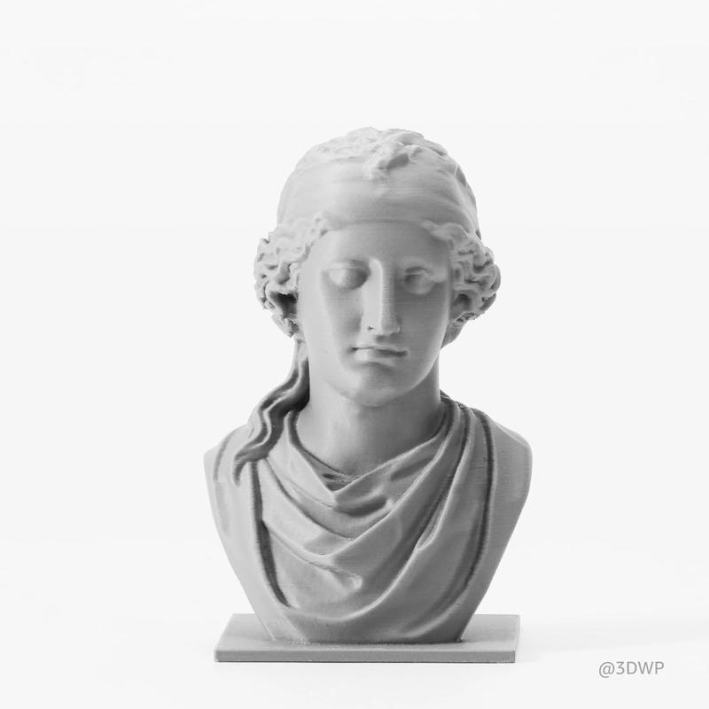 Bambu Lab Matte PLA 3D Printer Filament, 1.75mm PLA 3D Printing Filament Dimensional Accuracy +/- 0.03 mm, Fast Printing RFID PLA, No Warping & Tangling, 3D Print Material with Reusable 1kg Spool Bambu Lab Matte PLA 3D Printer Filament, 1.75mm PLA 3D Printing Filament Dimensional Accuracy +/- 0.03 mm, Fast Printing RFID PLA, No Warping & Tangling, 3D Print Material with Reusable 1kg Spool