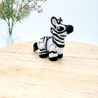 Baby Zebra