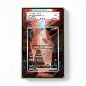 Charmander 168-165 IR AR Pokemon 151 Pokemon Graded Display Case, Extended Art, Extended Display Case, Extended Art Case PSA Graded Guard Case / Magnetic Case / Screws Case (CARD NOT INCLUDED)