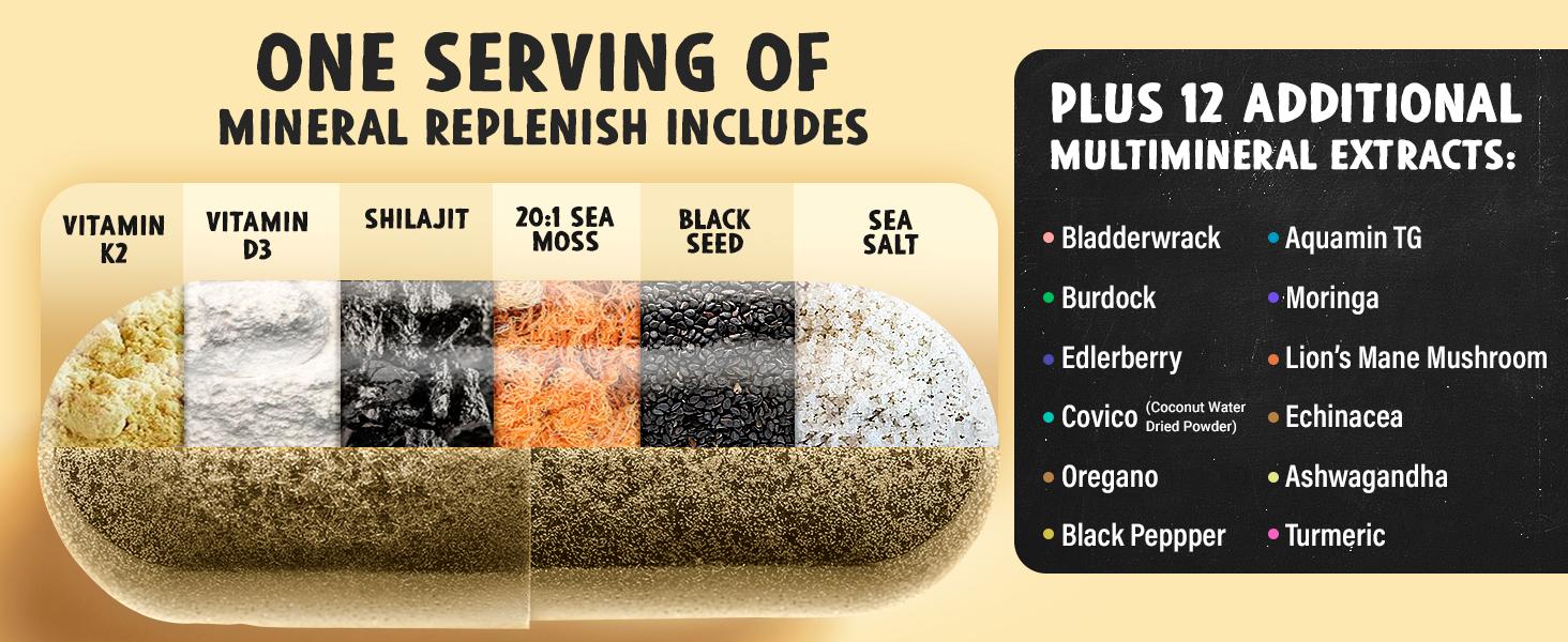 MAJU 18-in-1 Mineral Replenish Capsules (60ct) - Concentrated Dietary Supplement w/ 20:1 Sea Moss Extract Natural Superfood Nutraceuticals Healthcare Fitness Edible