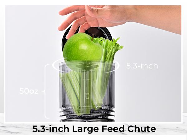 SUSTEAS Cold Press Juicer with 5.3" Large Feed Chute Slow Squeeze for Maximum Nutrient Retention Easy to Assemble High Juice Yield One-Piece Design for Easy Assembly and Cleaning Fruit Squeezer