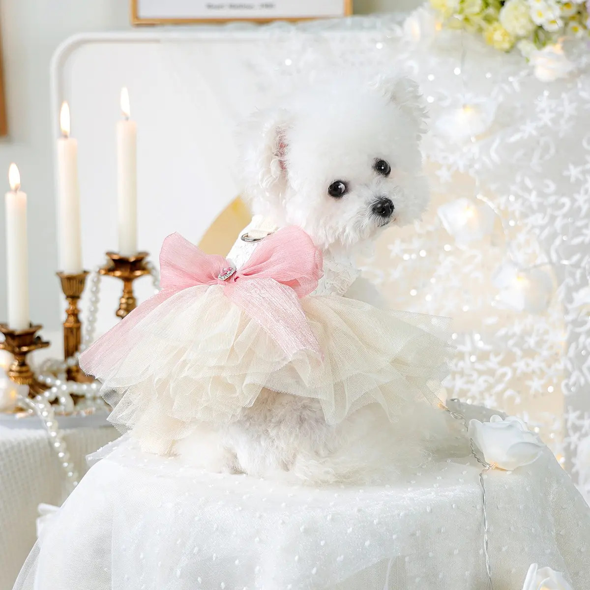 Cute Princess Dress Costume for Pets, Dog and Cat Wedding Gown, Suitable for Teddy Bichon Pomeranian Miniature Poodle Dogs, Adorable Pet Clothing, Puppy Clothes