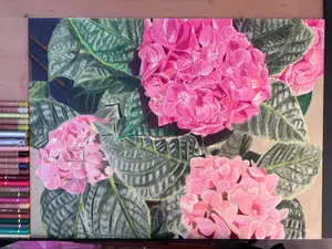 “Blush of Hydrangeas” | Limited Edition Prints