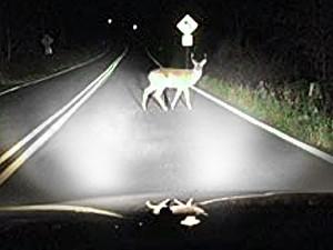 2015 GMC Yukon XL H11/H8/H9/H16 15W 6000K White IP67 LED Headlight Bulb 2PCS SEALIGHT S1