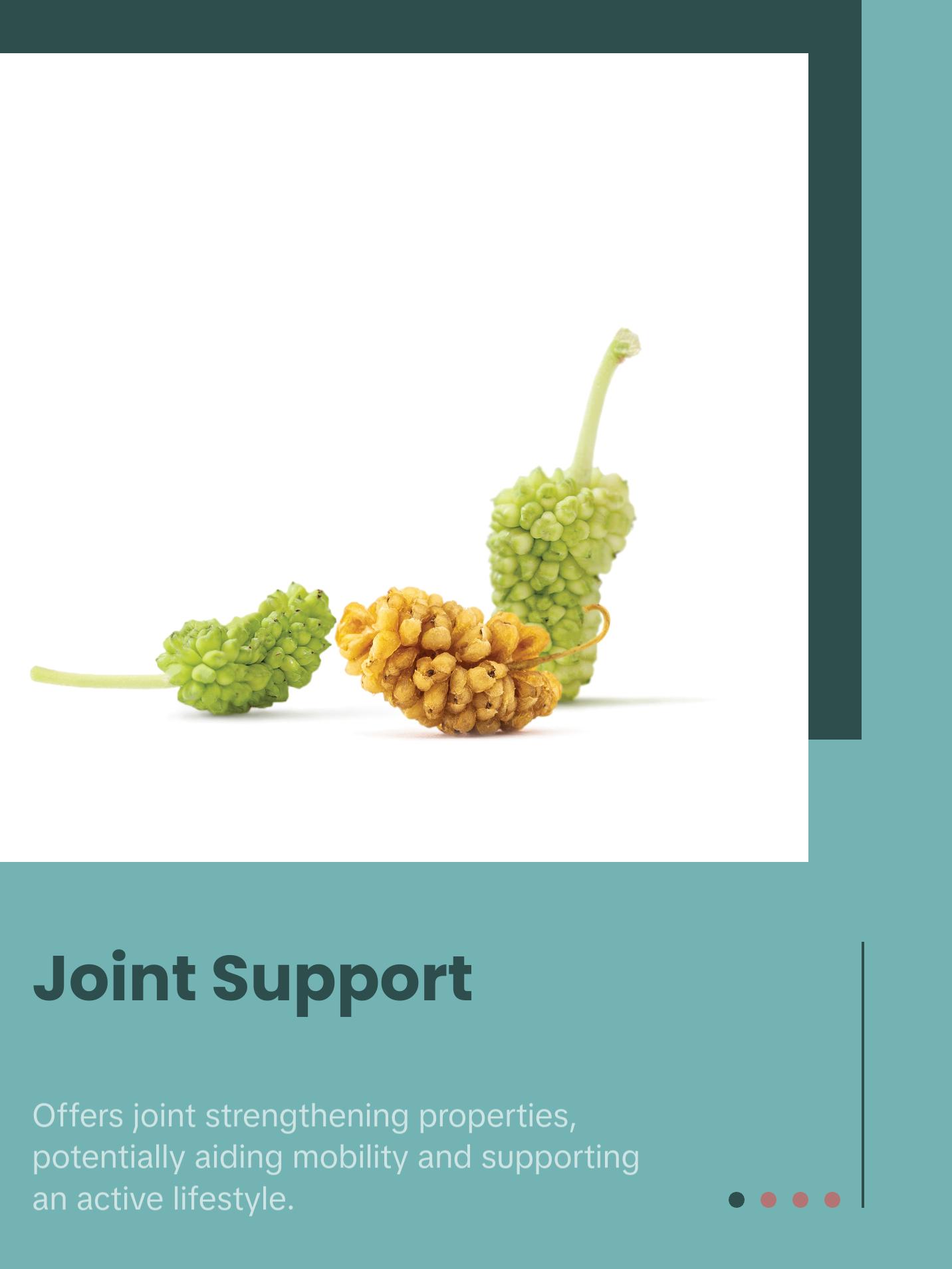 organic white mulberries (dried)