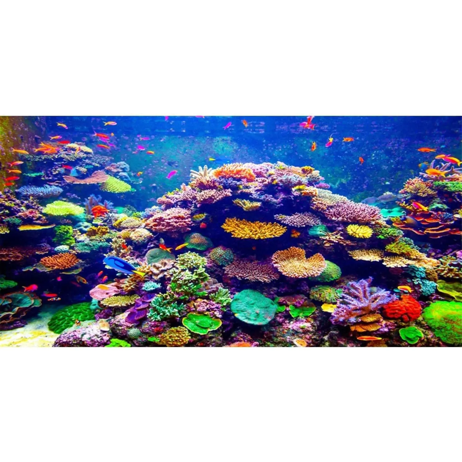 Undersea Theme 48x24 inches Vinyl Aquarium Background Colorful Coral Tropical Fish Underwater World Fish Tank Backdrop