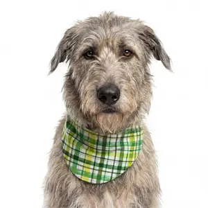 Festive Bandana