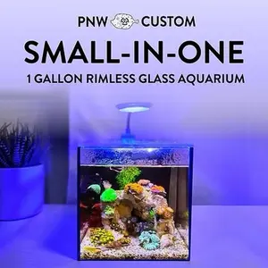 Small-In-One | 1 Gallon Desktop Aquarium Kit for Saltwater or Freshwater