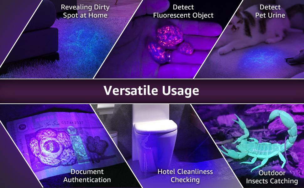 Lighting EVER Black Light Flashlight, Small UV Lights 395nm, Portable Ultraviolet Light Detector for Invisible Ink Pens, Dog Cat Pet Urine Stain, AAA Batteries Included