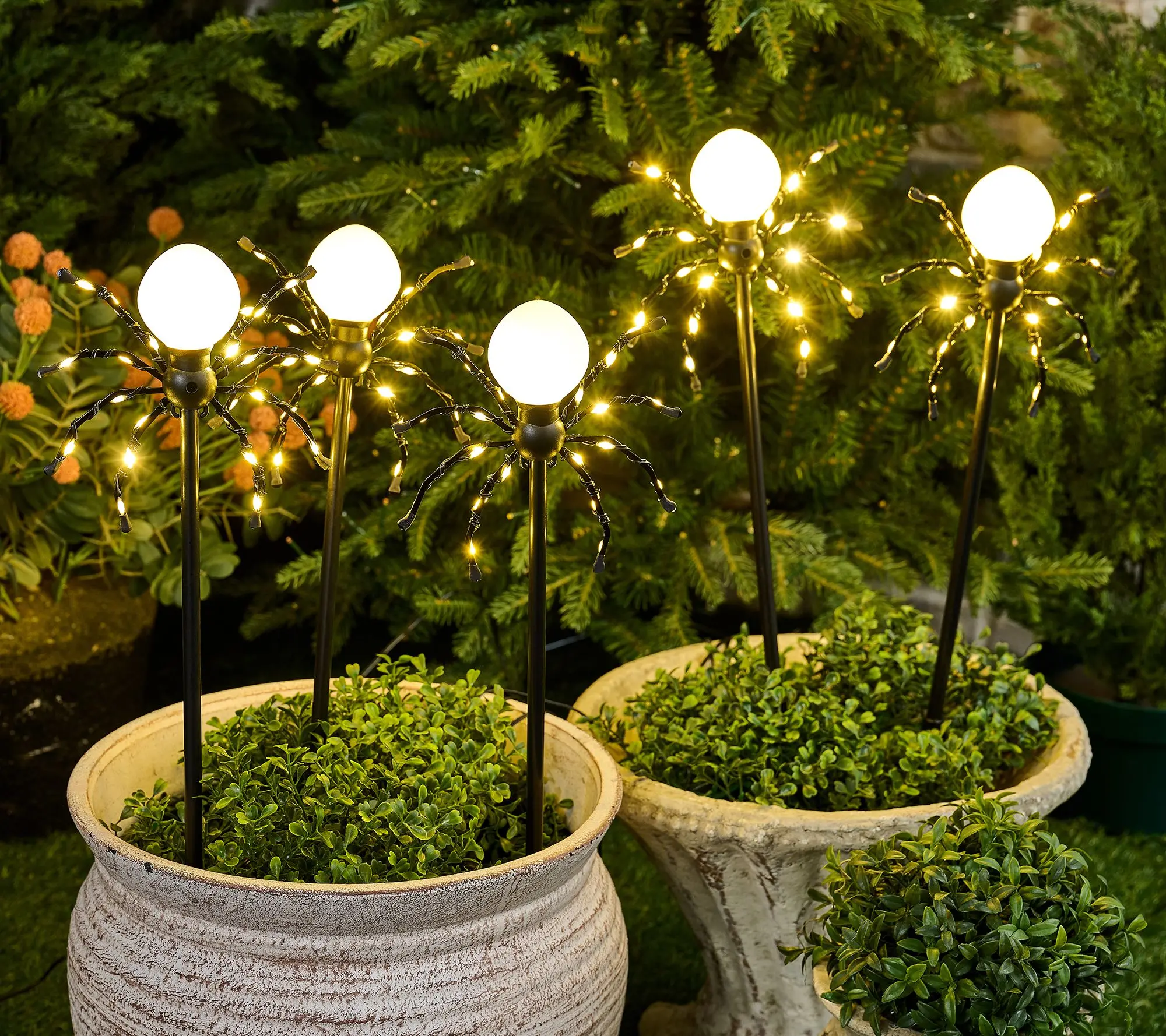 Martha Stewart S/5 Illuminated Indoor/Outdoor 20" Spider Stake Lights
